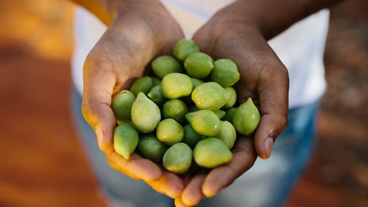 Kakadu Plum - The Australian Super Fruit