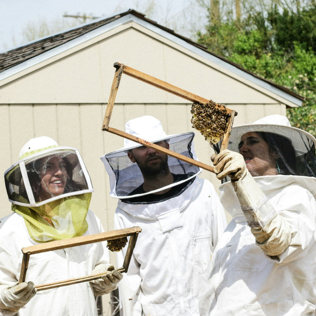 How Beekeeping Supports Communities and the Environment