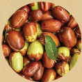Jojoba Oil